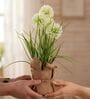 Cream Silk Plastic And Jute Faux Allium Flower Bunch With Jute Wrap