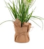 Cream Silk Plastic And Jute Faux Allium Flower Bunch With Jute Wrap