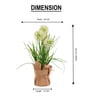 Cream Silk Plastic And Jute Faux Allium Flower Bunch With Jute Wrap
