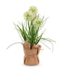 Cream Silk Plastic And Jute Faux Allium Flower Bunch With Jute Wrap