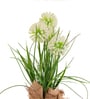 Cream Silk Plastic And Jute Faux Allium Flower Bunch With Jute Wrap