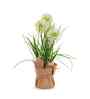 Cream Silk Plastic And Jute Faux Allium Flower Bunch With Jute Wrap