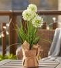 Cream Silk Plastic And Jute Faux Allium Flower Bunch With Jute Wrap