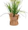 Cream Silk Plastic And Jute Faux Allium Flower Bunch With Jute Wrap