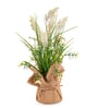 Cream Silk Plastic And Jute Faux Pampas Grass Arrangement Flower Bunch With Jute Wrap