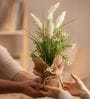 Cream Silk Plastic And Jute Faux Pampas Grass Arrangement Flower Bunch With Jute Wrap
