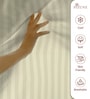 Cream Stripe 300 TC Cotton Super King Sized Bedsheet with 2 Pillow Covers