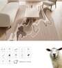 Beige Solid Woolen 48 x 72 Inches Hand Tufted Rug