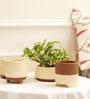 Gardenia Cream Terracotta (Set of 4) Desk Pot