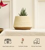 Gardenia Cream Terracotta Desk Pot