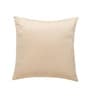 Cream Velevt Solids 16x16 inches  Regular Cushion Covers  (2Pcs)