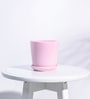 Crepe Pink Ceramic Desk Pot