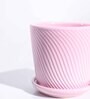 Crepe Pink Ceramic Desk Pot