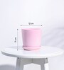 Crepe Pink Ceramic Desk Pot