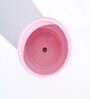 Crepe Pink Ceramic Desk Pot