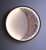 Crescent Moon LED Wall Light   300 mm Modern Decorative Ambient Lamp