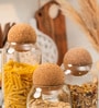 Set of 3 Crest Glass Jar Set Glass Storage Jars with Spherical Cork Lids