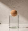 Set of 3 Crest Glass Jar Set Glass Storage Jars with Spherical Cork Lids
