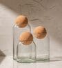 Set of 3 Crest Glass Jar Set Glass Storage Jars with Spherical Cork Lids