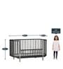Solid Wood Crib in Black Colour with Convertible Bed