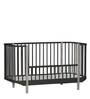 Solid Wood Crib in Black Colour with Convertible Bed