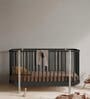 Solid Wood Crib in Black Colour with Convertible Bed