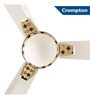 Crompton Aura 2 Designer 2D Antidust Brocade 1200 Mm Ceiling Fan (Pearl White)
