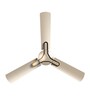 CROMPTON Gianna 1200 mm 3 Blade Ceiling Fan  (Tapioca)