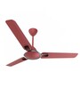 Crompton Markle Prime High Speed 1200 mm Anti-Dust Ceiling Fan with Energy Efficient 55W Motor (Red Velvet)