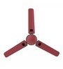 Crompton Markle Prime High Speed 1200 mm Anti-Dust Ceiling Fan with Energy Efficient 55W Motor (Red Velvet)