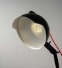 Uniquely Black Metal LED Lamps