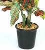 Croton PVC Artificial Bonsai Plant with Black Ceramic Pot