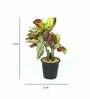 Croton PVC Artificial Bonsai Plant with Black Ceramic Pot