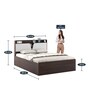 Crown Queen Size Bed in Choco Walnut Finish with Box Storage