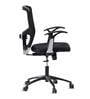 Cruxe Mid Back Ergonomic Chair in Black Colour