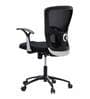 Cruxe Mid Back Ergonomic Chair in Black Colour
