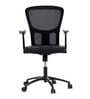 Cruxe Mid Back Ergonomic Chair in Black Colour