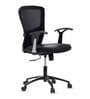 Cruxe Mid Back Ergonomic Chair in Black Colour