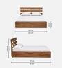 Crysta Solid Wood Queen Size Bed With Box Storage In Acacia Natural Finish