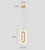 Crystal Acrylic Shade Hanging Pendant Light with Gold Finish