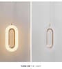 Crystal Acrylic Shade Hanging Pendant Light with Gold Finish