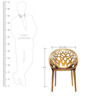 Crystal Plastic Chair in Umbra Colour