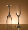(Set of 6) Crystal Glass Lead Free Champagne Glasses