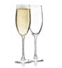 (Set of 6) Crystal Glass Lead Free Champagne Glasses
