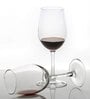 (Set Of 6) Crystal Glass Lead Free Wine Glass
