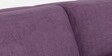 Cubicon  Fabric Sofa Cum Bed In Purple Colour