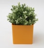 Cube Yellow Acrylic Table Vase