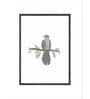 Cuckoo Bird Wall Art