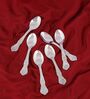Set of 6-Fest 18/8 Stainless Steel Tea Spoon