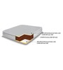 Cumulus Reversible Orthopedic 8 Inches Queen Size 100% HR Foam Mattress